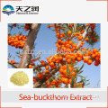 Sea Buckthorn Berry Extract Powder,Sea Buckthorn Berry P.E.,Sea Buckthorn Berry Powder Extract